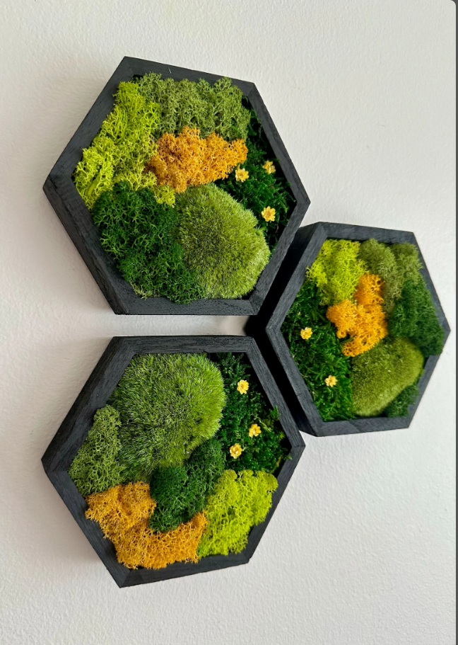 Moss Wall Art Honeycomb Moss Wood Hexagon