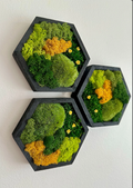 Moss Wall Art Honeycomb Moss Wood Hexagon