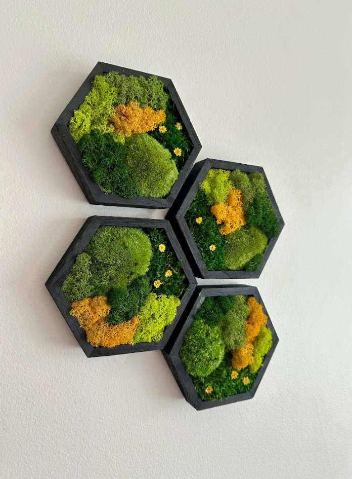 Moss Wall Art Honeycomb Moss Wood Hexagon