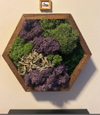 Moss Wall Art Honeycomb Moss Wood Hexagon