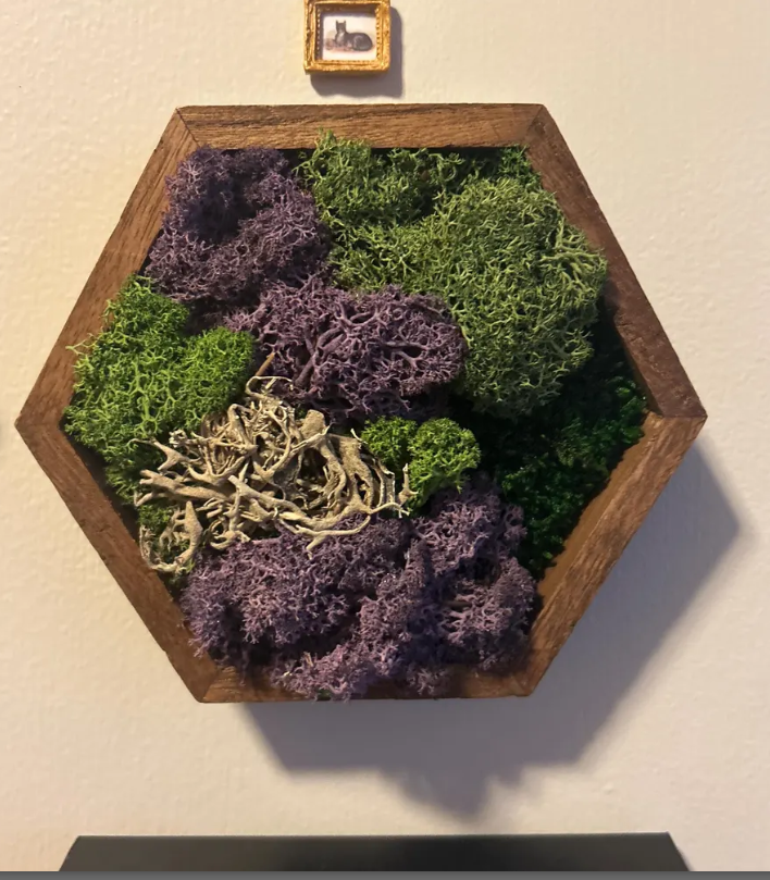 Moss Wall Art Honeycomb Moss Wood Hexagon