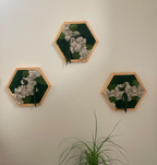 Moss Wall Art Honeycomb Moss Wood Hexagon