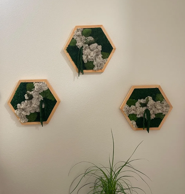 Moss Wall Art Honeycomb Moss Wood Hexagon