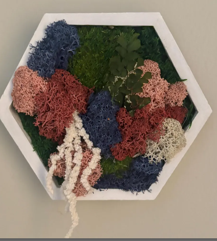 Moss Wall Art Honeycomb Moss Wood Hexagon