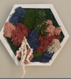 Moss Wall Art Honeycomb Moss Wood Hexagon