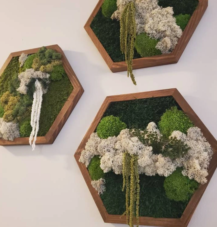 Moss Wall Art Honeycomb Moss Wood Hexagon
