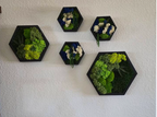 Moss Wall Art Honeycomb Moss Wood Hexagon