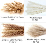 Dried Pampas Grass Decor, 100 PCS Pampas Grass
