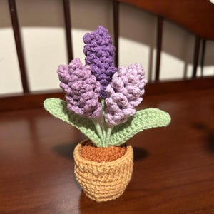 Handmade Crochet Flower in Pot Personalized Gift