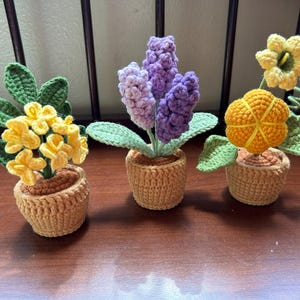 Handmade Crochet Flower in Pot Personalized Gift