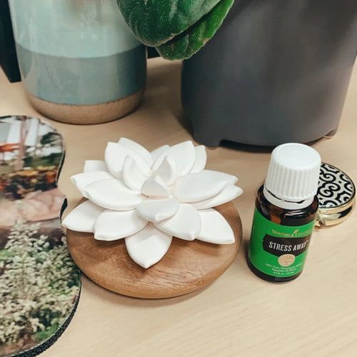 Essential Oil diffuser, air freshener Star flower, made of Wood and Porcelain, drop oil on the porcelain, natural item