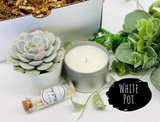 Expecting Mom Spa Gift Set with Succulent Candle and Natural Soap