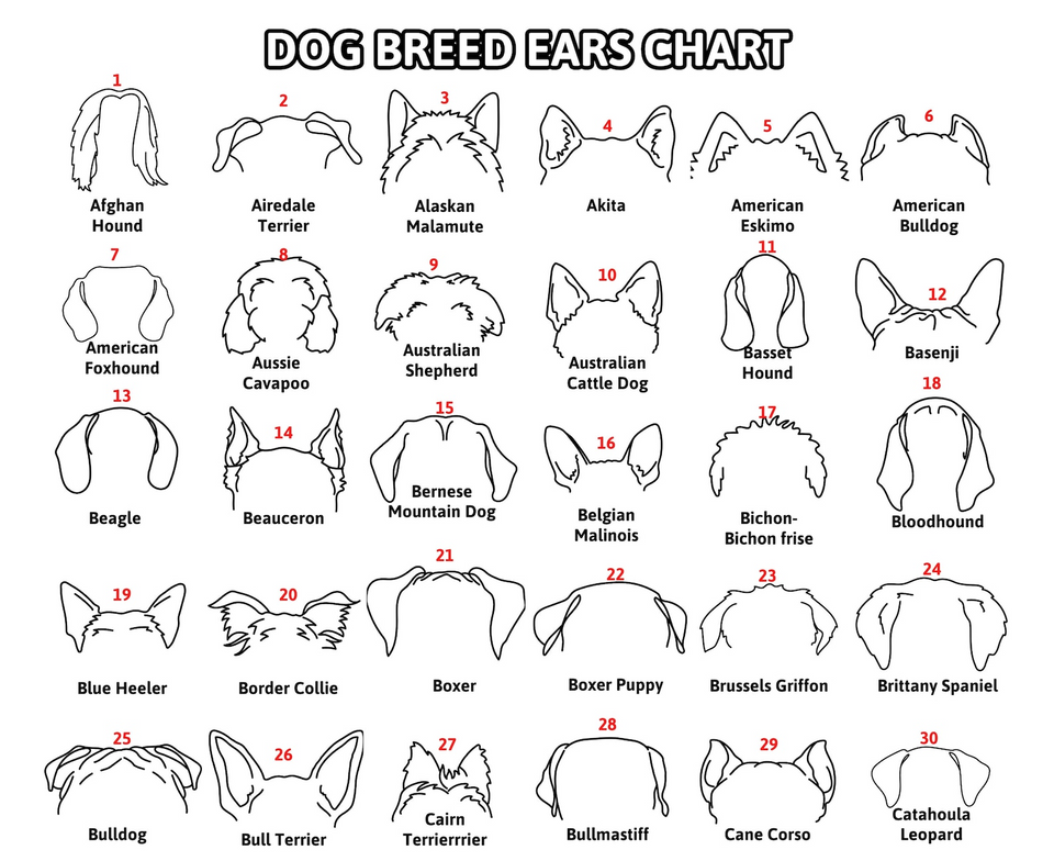 Custom Dog Ear Portrait Sign Personalized Pet Loss Gift