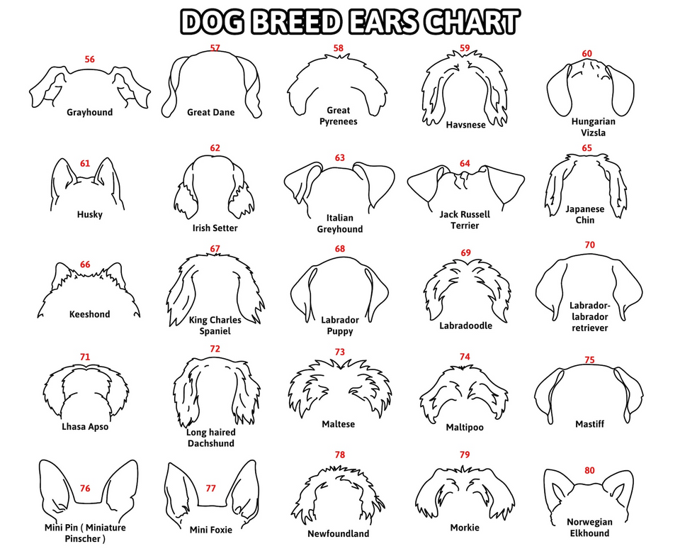 Custom Dog Ear Portrait Sign Personalized Pet Loss Gift