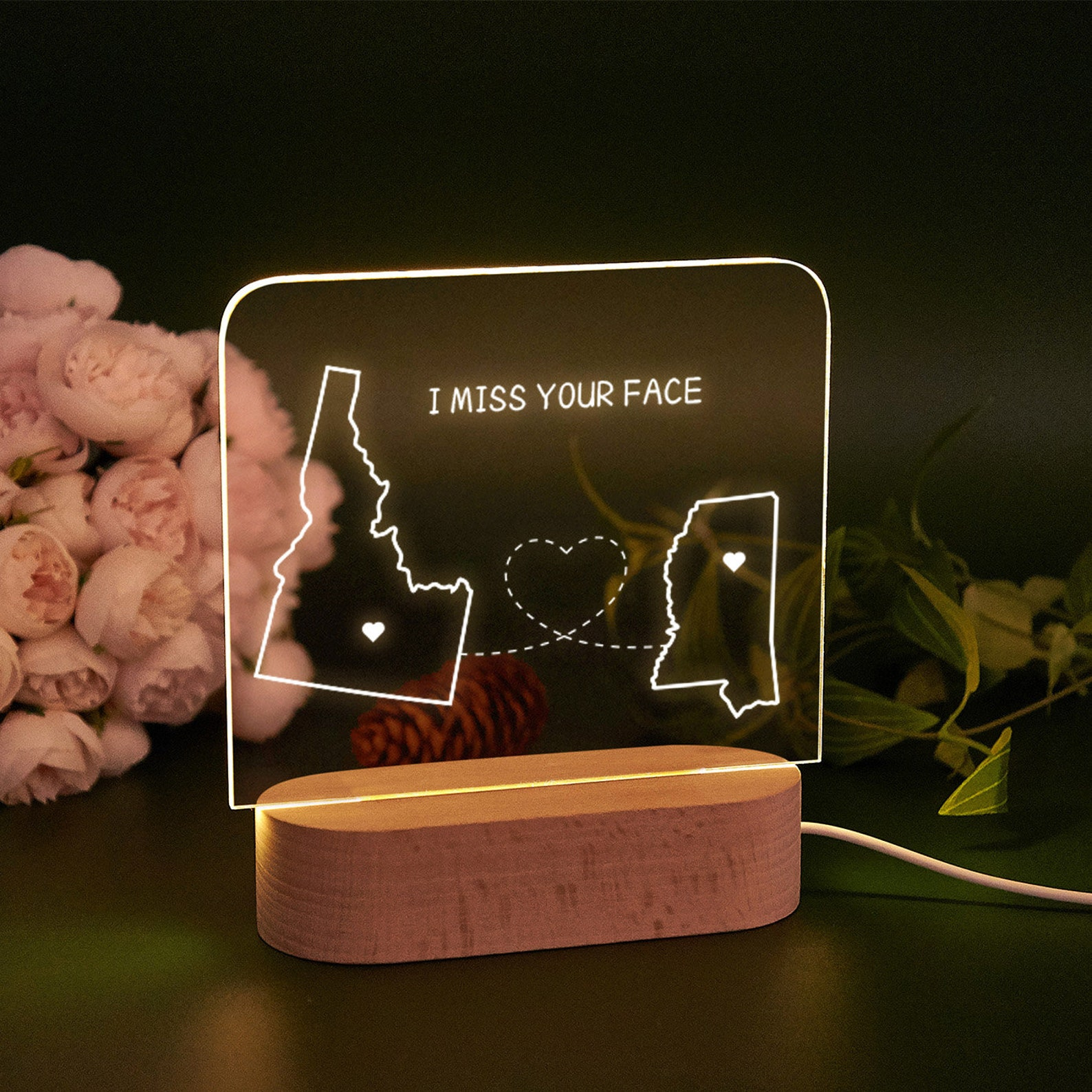 Custom Two-State Map Night Light