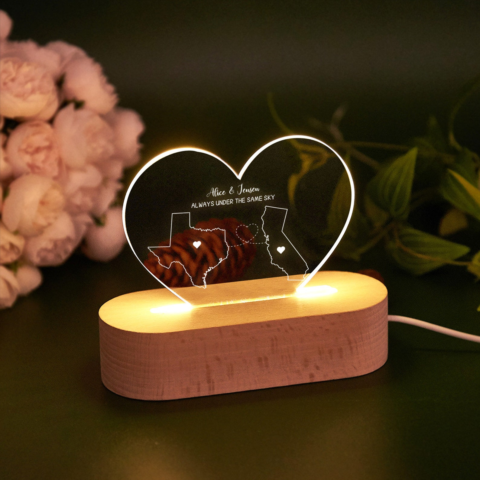 Custom Two-State Map Night Light