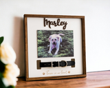 Personalized Pet Memorial Collar Holder Frame