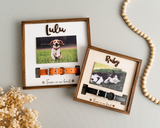 Personalized Pet Memorial Collar Holder Frame