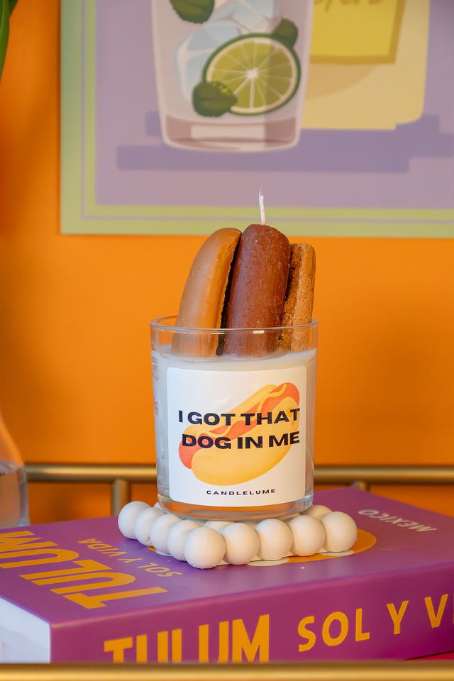Funny Hot Dog Candle Novelty Gift
