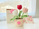 Crochet Tulip Flower Pot Handmade Gift