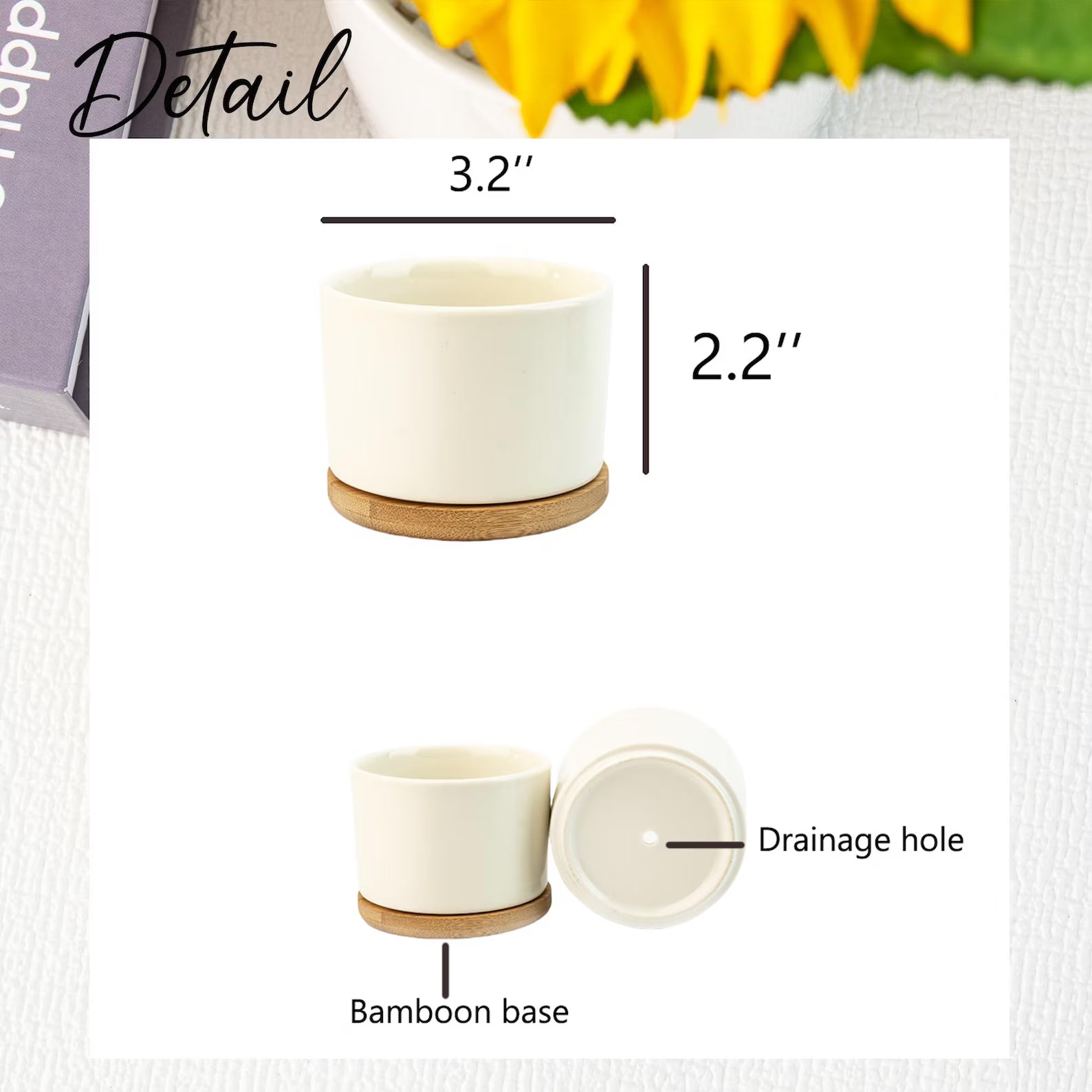 Personalized Teacher Plant Pot Appreciation Gift