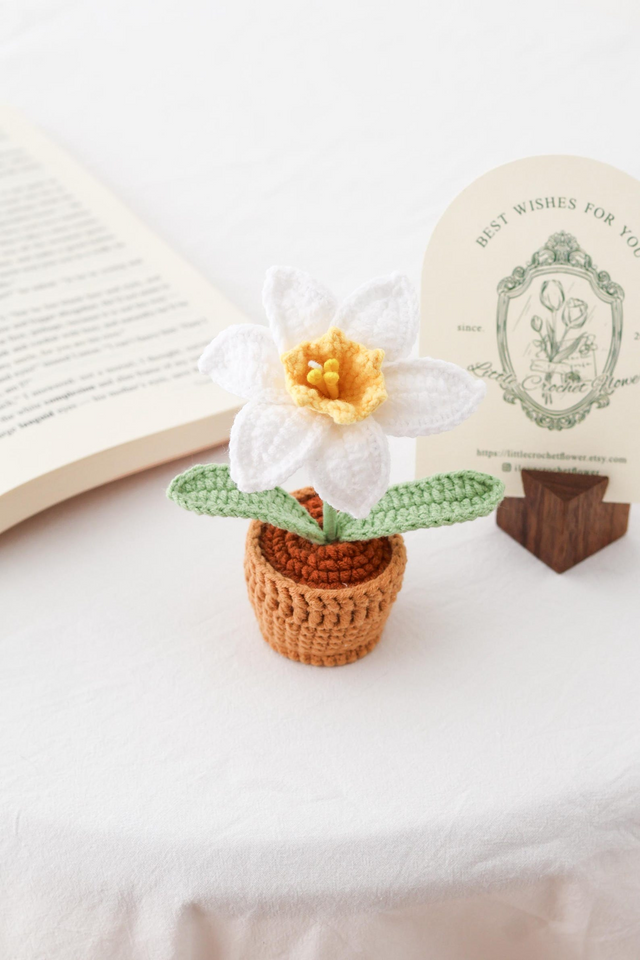 Handmade Crochet Flower in Pot Personalized Gift