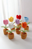 Handmade Crochet Flower in Pot Personalized Gift