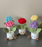 Handmade Crochet Tulip Flower Pot Gift for Her