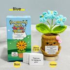 Cute Handmade Crochet Forget Me Not Flower Gift Set