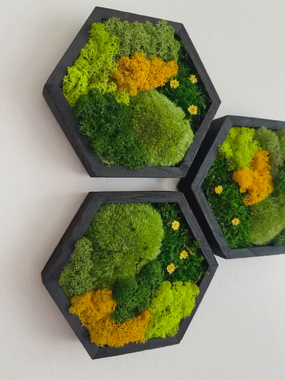 Moss Wall Art Honeycomb Moss Wood Hexagon