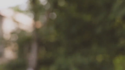 Still I Rise Lotus Necklace Empowering Jewelry Gift