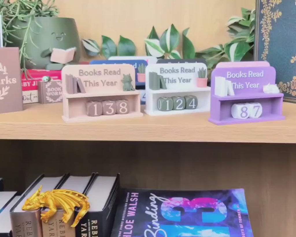 Books Read This Year Counter Decor
